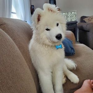 Meet your Posher, Jenna